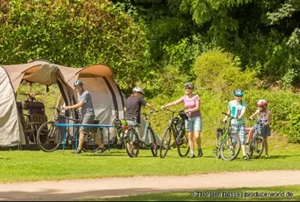 Beschreibung des Bildes