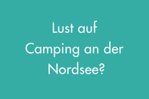 Beschreibung des Bildes