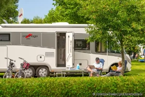 Beschreibung des Bildes