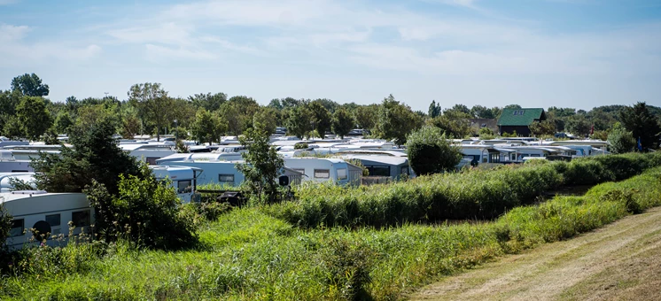 Schleswig-Holstein glänzt mit sechs ADAC „Superplätzen“ und führender Campingqualität - Camping-Schleswig-Holstein