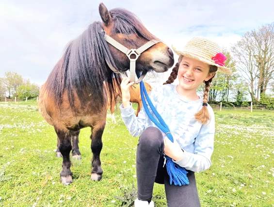 Campingplatz: Minishetty Thamino - Camping & Ostseeferienpark Walkyrien