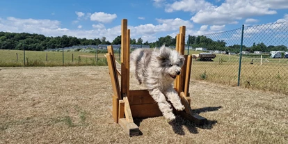 Campingplätze - Geschirrspülbecken - Hundeagilityplatz - Camping & Ostseeferienpark Walkyrien