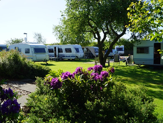 Campingplatz: Campingplatz „Margarethenruh“