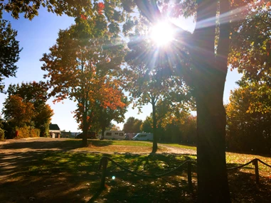 Campingplatz: Campingplatz Lübeck-Schönböcken