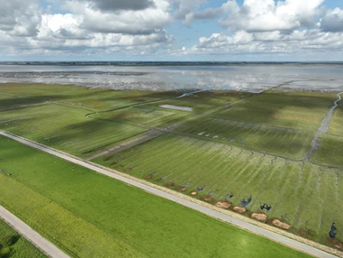Campingplatz: Luftaufnahme über den Deich - Nordseecamping zum Seehund Nordseecamping