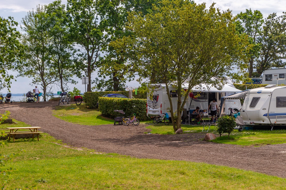 Campingplatz: Ferienplätze in Ostseenähe  - Ostsee-Campingplatz Kagelbusch
