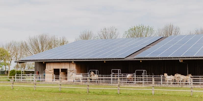 Campingplätze - Geschirrspülbecken - Reithalle - Strandcamping Wallnau