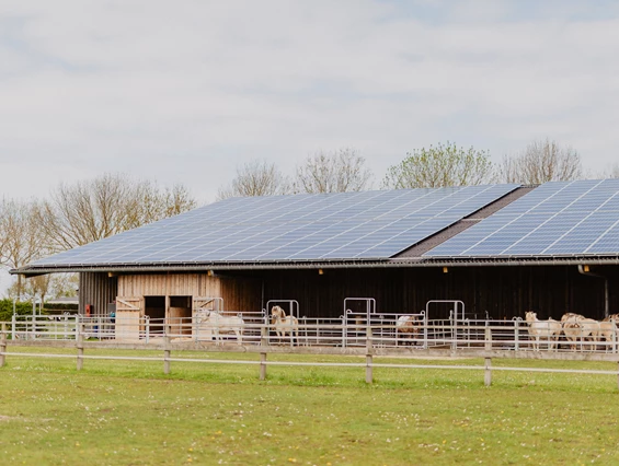 Campingplatz: Reithalle - Strandcamping Wallnau